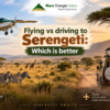 Flying vs Driving to Serengeti Which Is Better