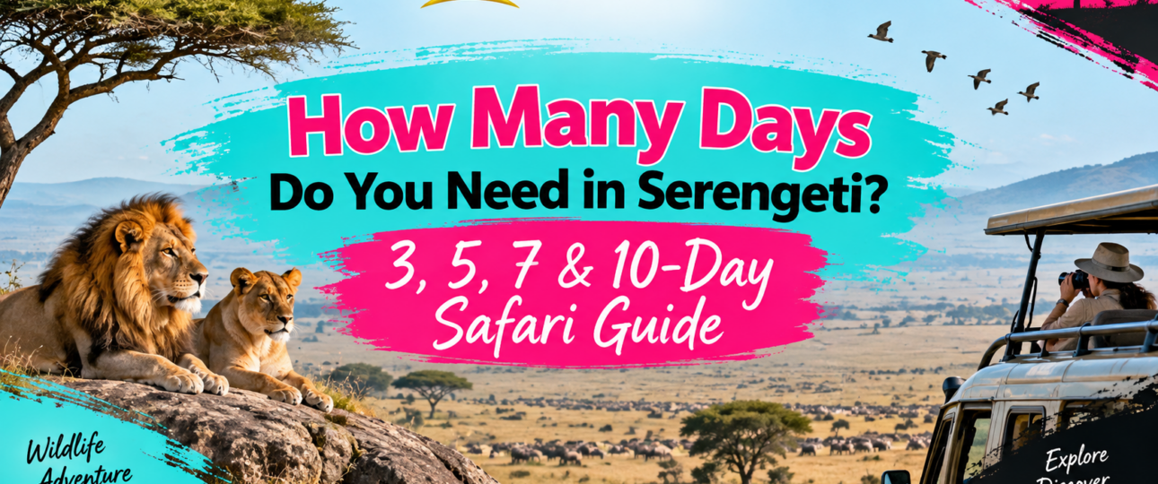 How Many Days Do You Need in Serengeti 3, 5, 7 & 10-Day Safari Guide