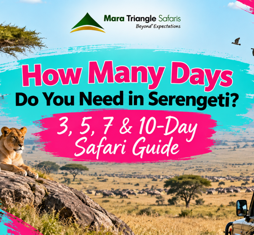 How Many Days Do You Need in Serengeti 3, 5, 7 & 10-Day Safari Guide