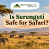 Is Serengeti Safe Wildlife, Roads, Camps & Travel Safety Guide