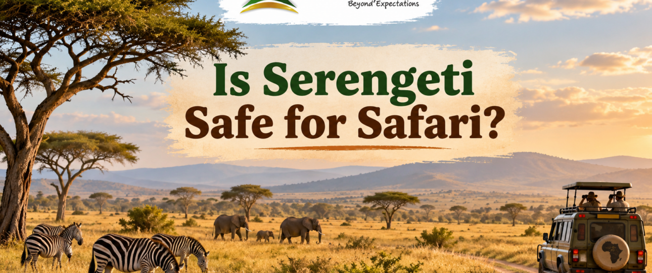 Is Serengeti Safe Wildlife, Roads, Camps & Travel Safety Guide