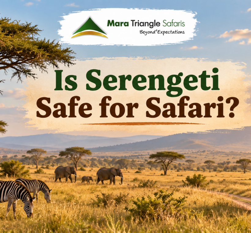 Is Serengeti Safe Wildlife, Roads, Camps & Travel Safety Guide