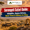Serengeti Safari Guide Wildlife, Game Drives, Best Time & Where to Stay