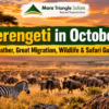 Serengeti in October Weather, Great Migration, Wildlife & Safari Guide