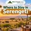 Where to Stay in Serengeti Central, Northern, Southern or Western Serengeti