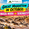 Great Migration in October: Masai Mara or Serengeti?