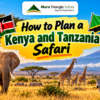 How to Plan a Kenya and Tanzania Safari: A Step-by-Step Guide for First-Time Visitors