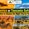Kenya or Tanzania Safari How to Choose the Right Trip for You