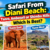 Safari From Diani Beach: Tsavo, Amboseli or Shimba Hills — Which Is Best?