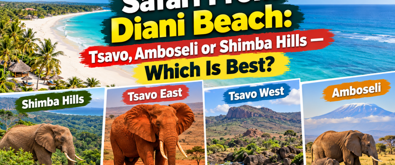 Safari From Diani Beach: Tsavo, Amboseli or Shimba Hills — Which Is Best?