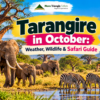 Tarangire in October Safari Guide