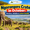 Ngorongoro Crater in October: Weather, Wildlife & Safari Guide